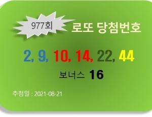 기사이미지