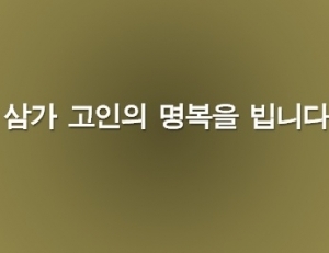 기사이미지