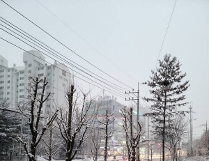 기사이미지