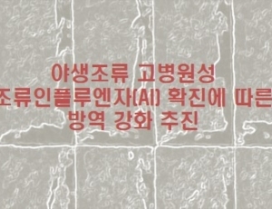기사이미지
