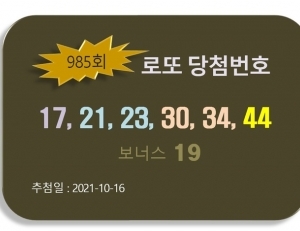 기사이미지