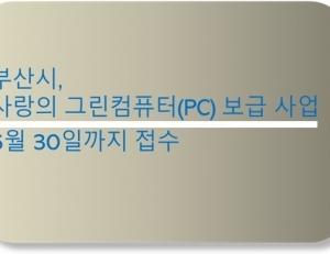 기사이미지
