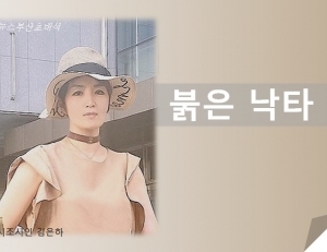 기사이미지