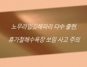 기사이미지