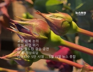 기사이미지