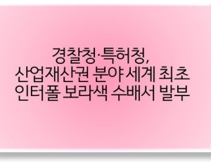 기사이미지