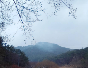 기사이미지
