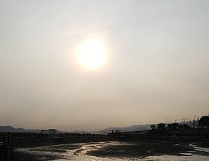 기사이미지